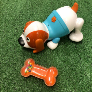 Cagnolino cammina Bkids