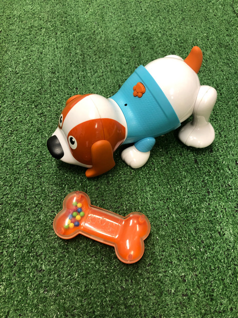 Cagnolino cammina Bkids