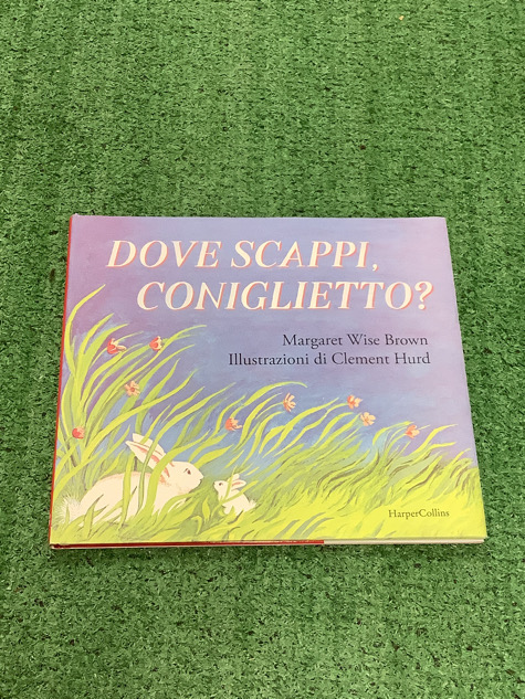 Dove scappi coniglietto?