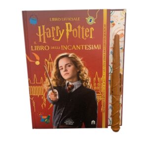 Libro Harry Potter + bacchetta