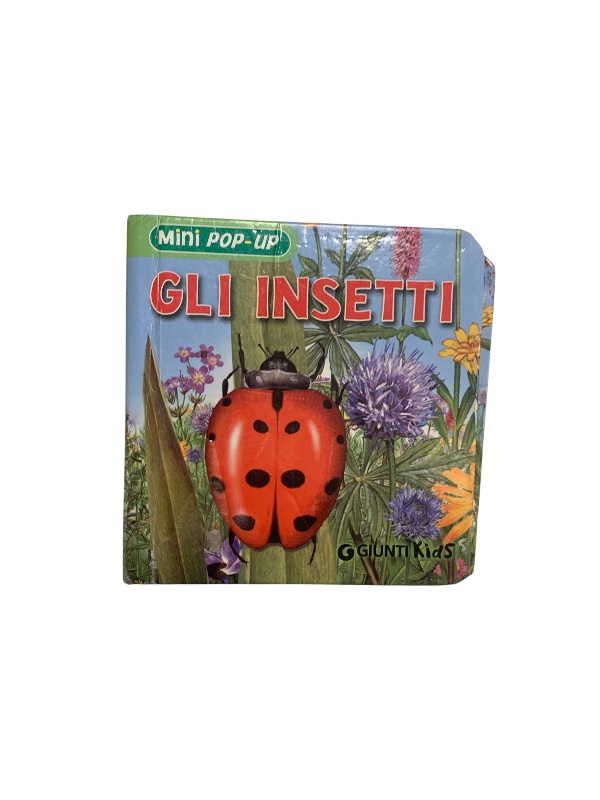 Gli insetti
